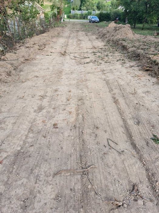 intravilan 28 de ari sau 63 de ari Viile Satu Mare cu livada de pruni