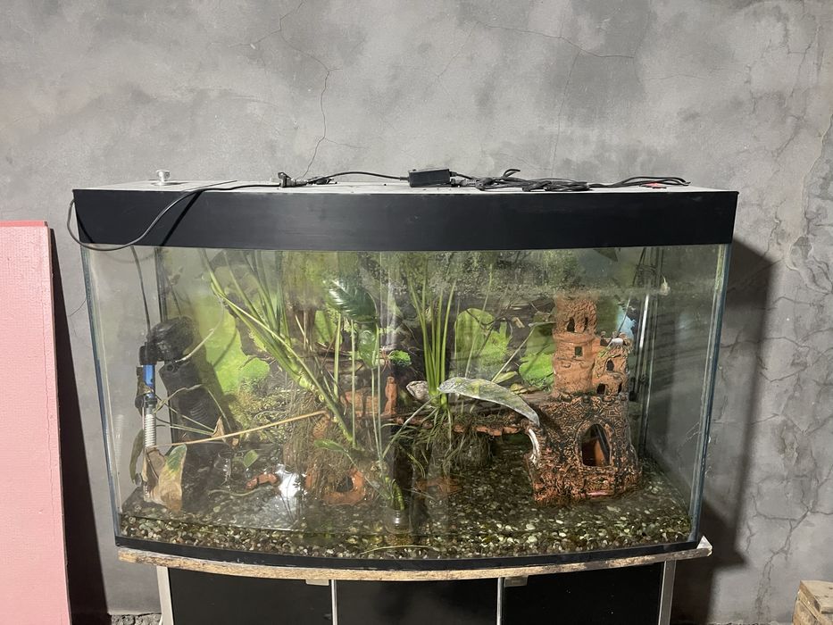 Продаётся аквариум