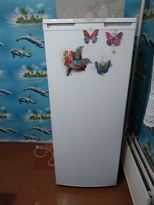 холодильник-Бирюса б/у..договорная!