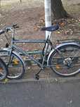 Bicicletă ieftina (marime mare/medie)