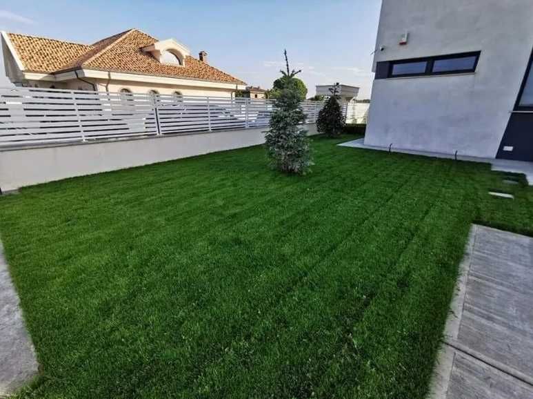 Transformare Rapidă cu Gazon Rulou și Irigare Modernă