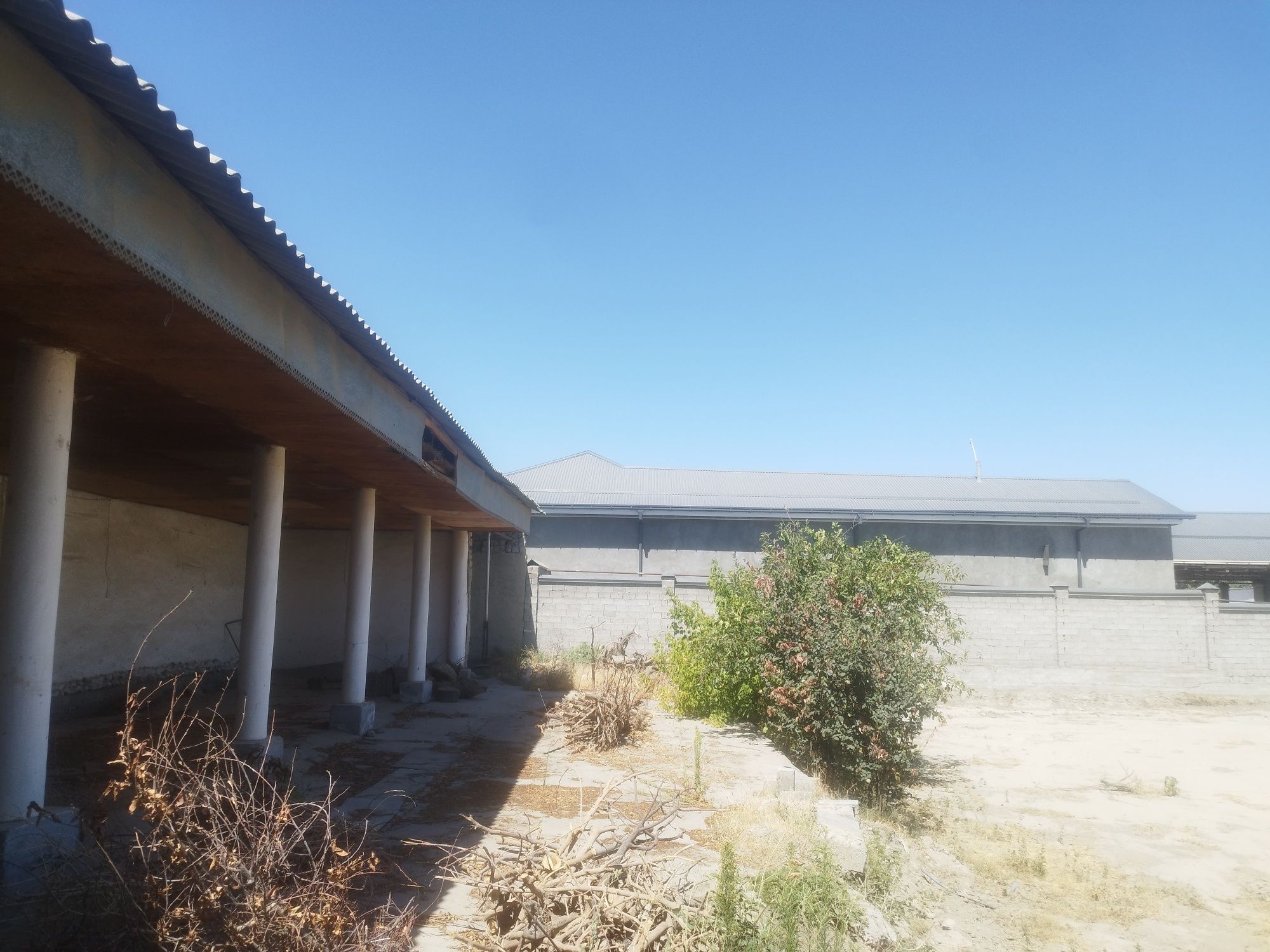 Tekis Yer, Tashkent trassa ga YAQINLIKDA...