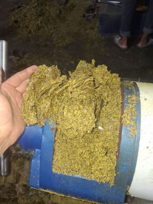 Yem Kunjara chorva hayvonlar uchun optom narxda
