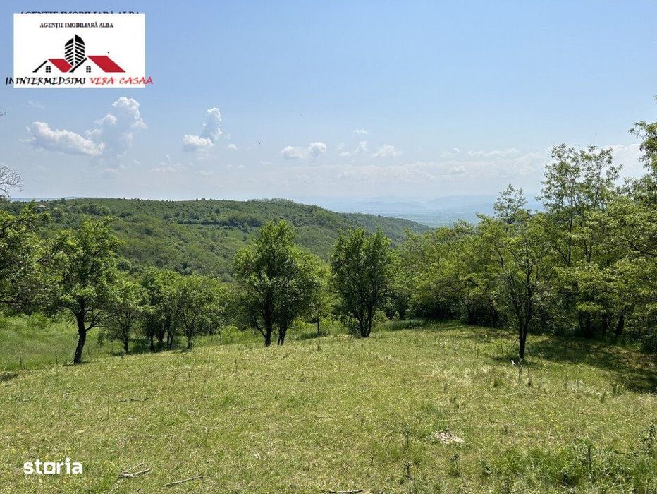 Teren extravilan 28152 mp de vanzare la 7 km de Alba Iulia