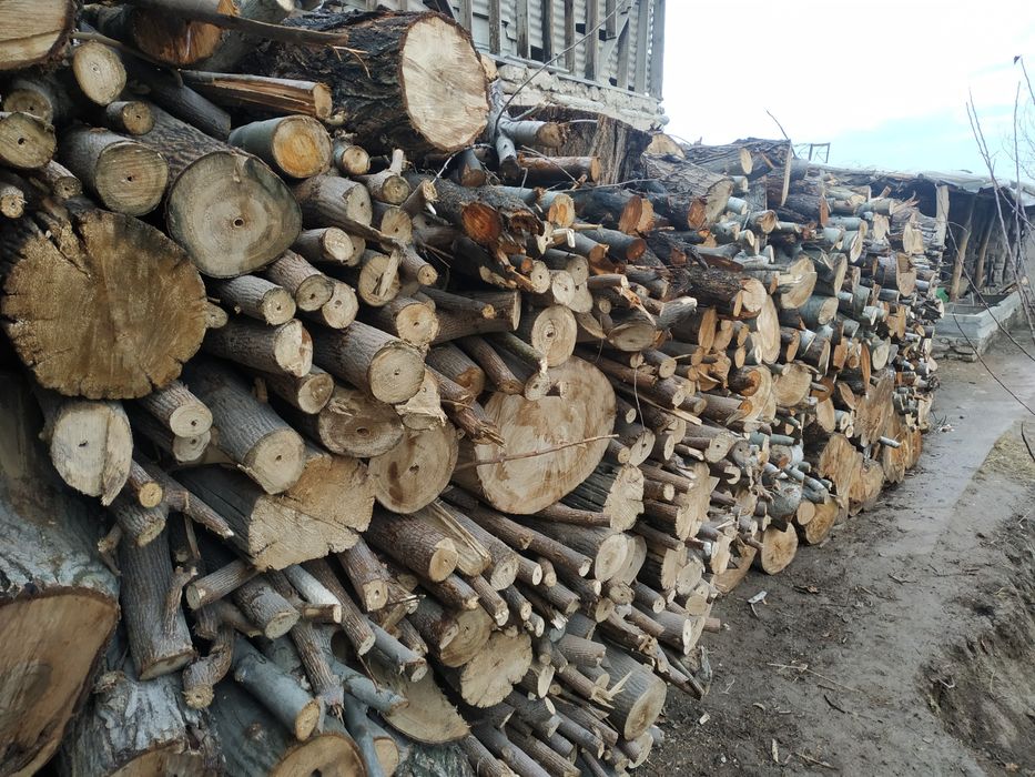 Oʼtin sotiladi quruq.