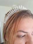 Coronita argintie - sloi de gheata