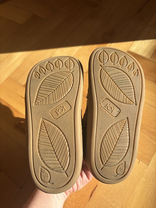 Боси боти Колев и Колев