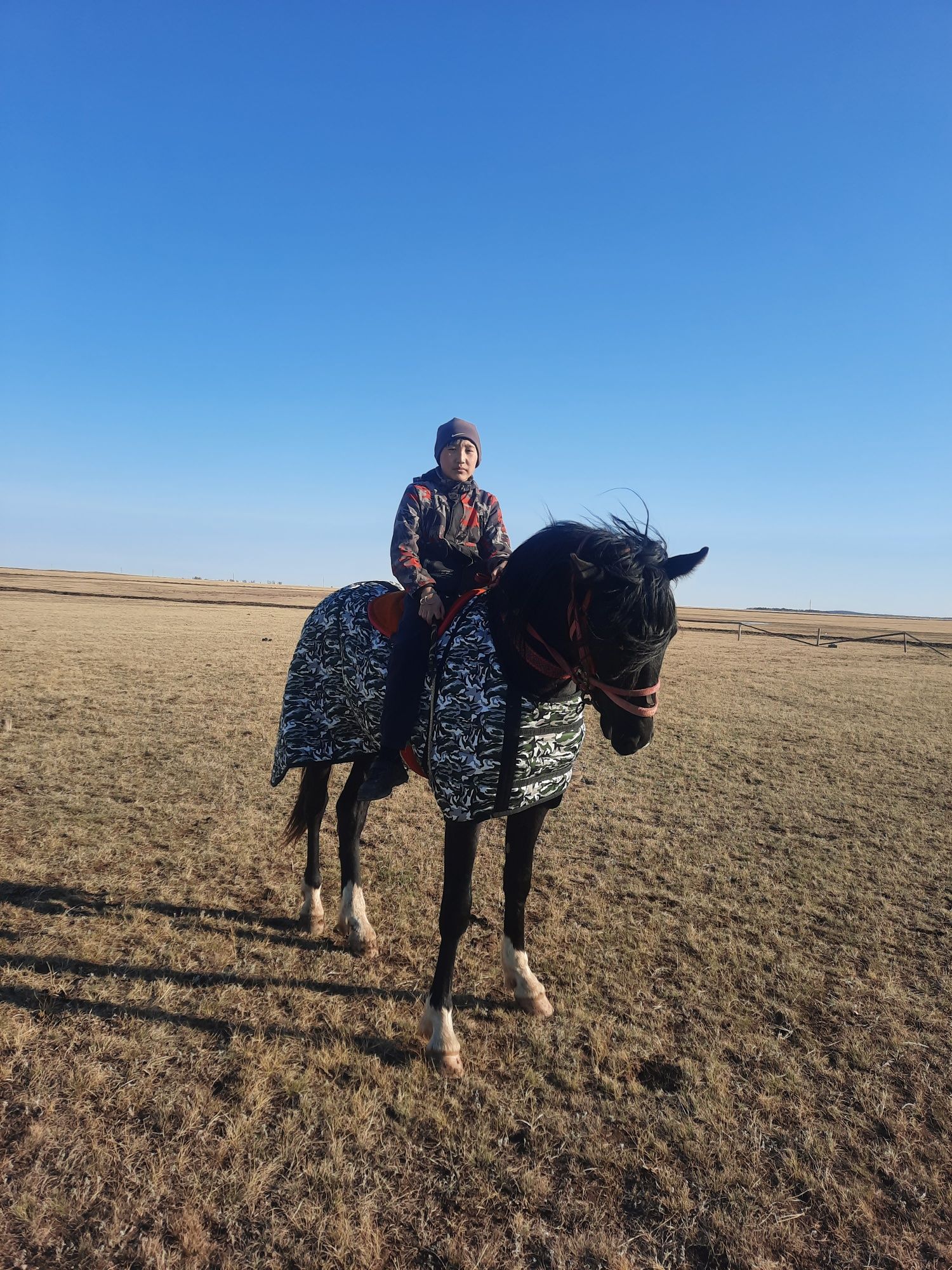 ЧК лошади аттар.