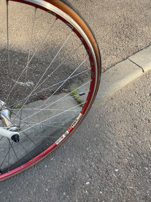 Cursiera U.Scanini linie shimano 105