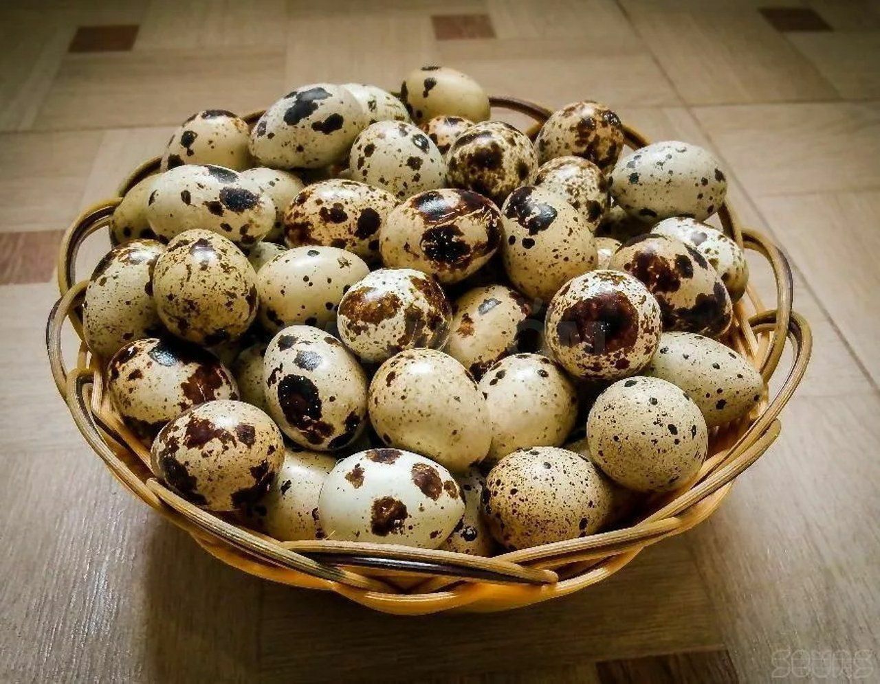 Bedana tuxum sotiladi