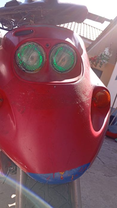 Vând malaguti f 10