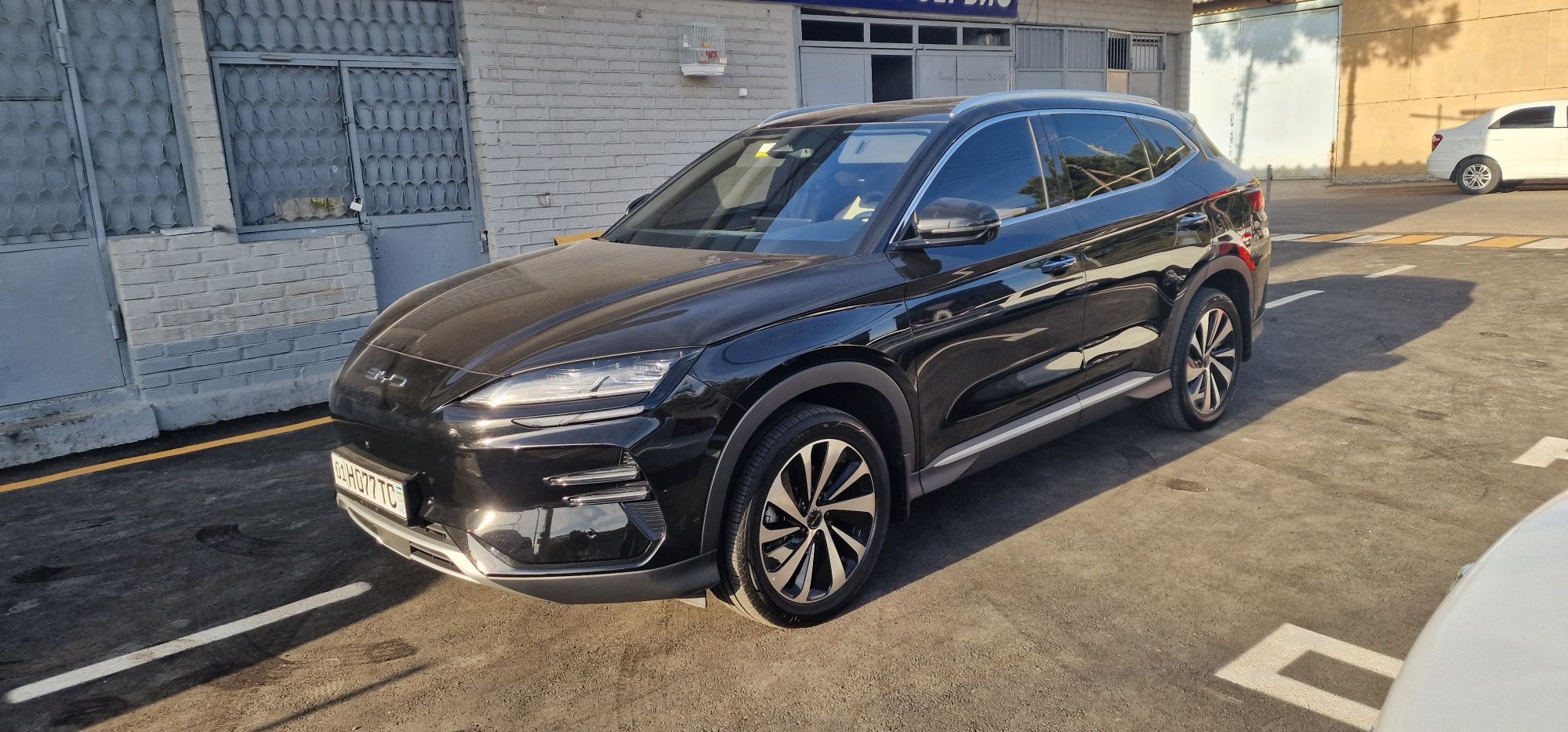 Продажа BYD song plus chempion 605