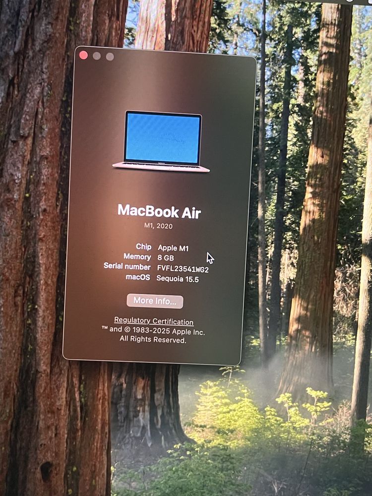 Apple MacBook M1