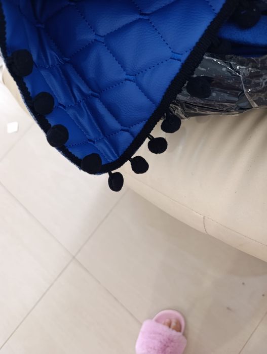 Pierdele Scania R topline