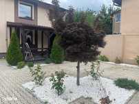 Central str.Valeni,vila P+1,de inchiriat