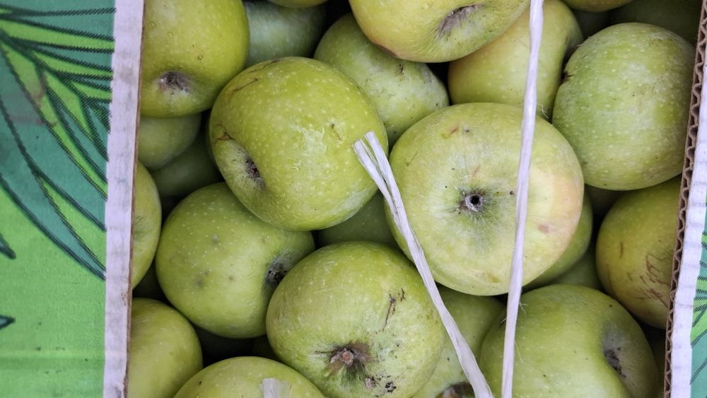 Яблоки:золотое превосходное,Семёновна,американо