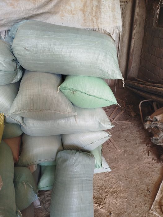 Apilka sotamiz tel qiling