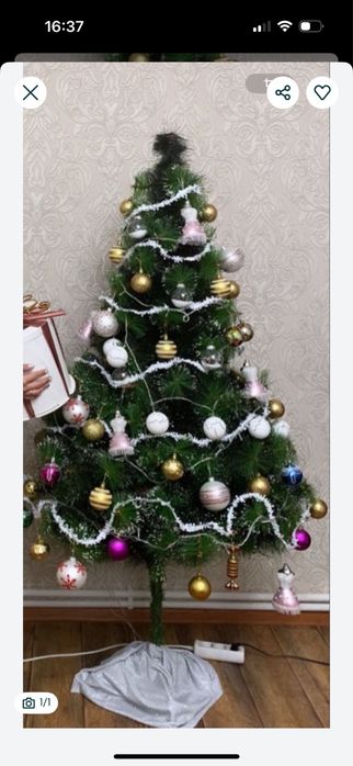 Ёлка. Шырша сатылады