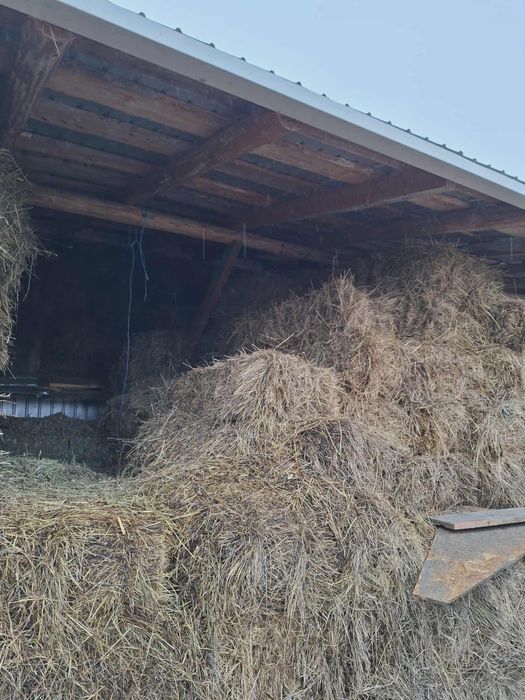 Vand baloti de fan si de otava