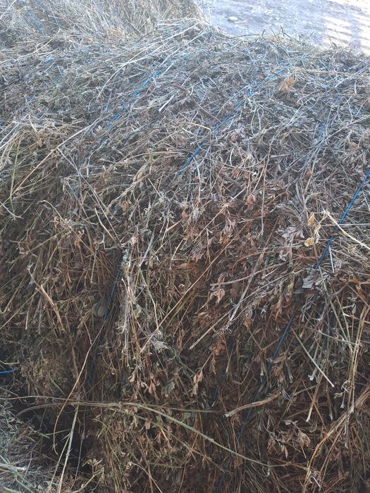 Baloti de fan ,coceni si paie