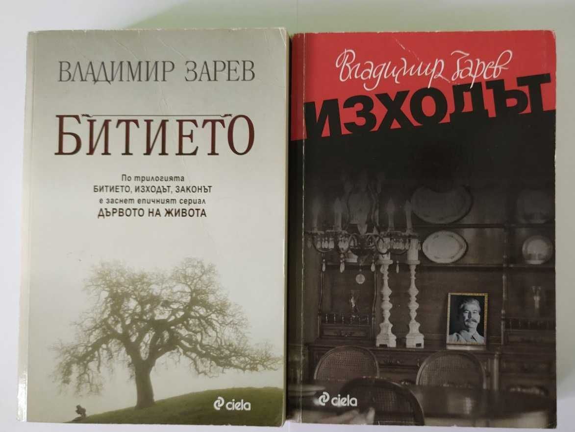 Владимир Зарев - Изходът и Битието