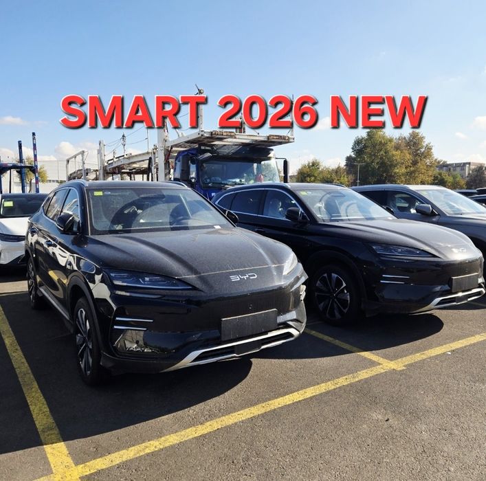 **BYD champion smart 26 model