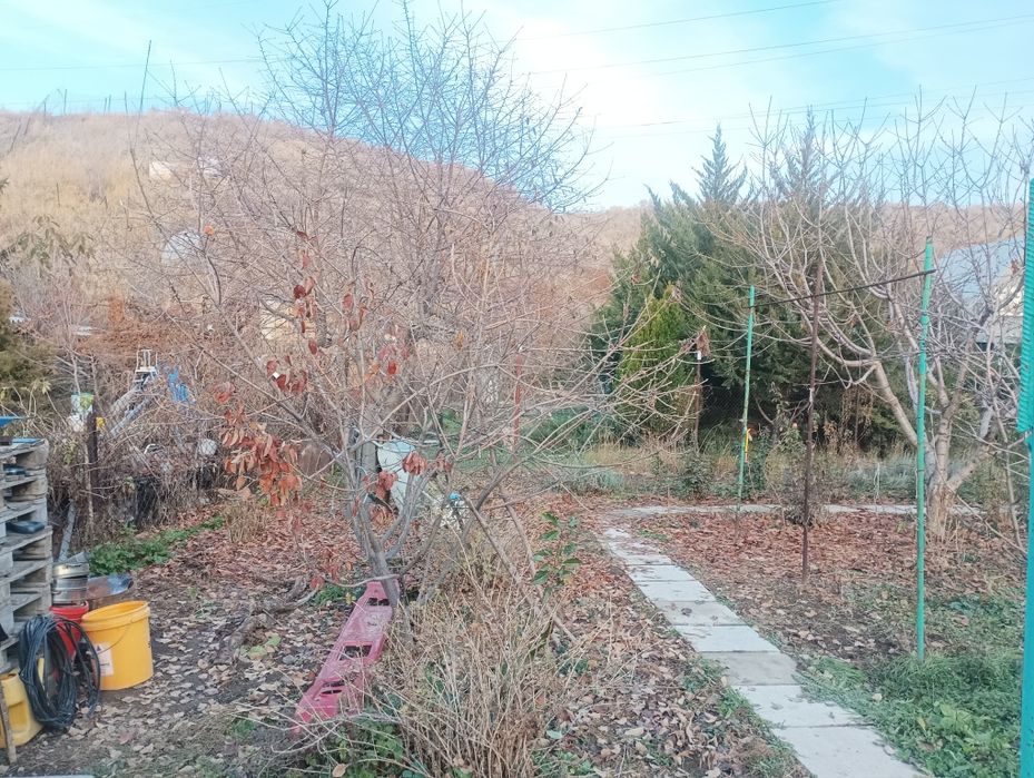 Продается 2 дома на одном участке