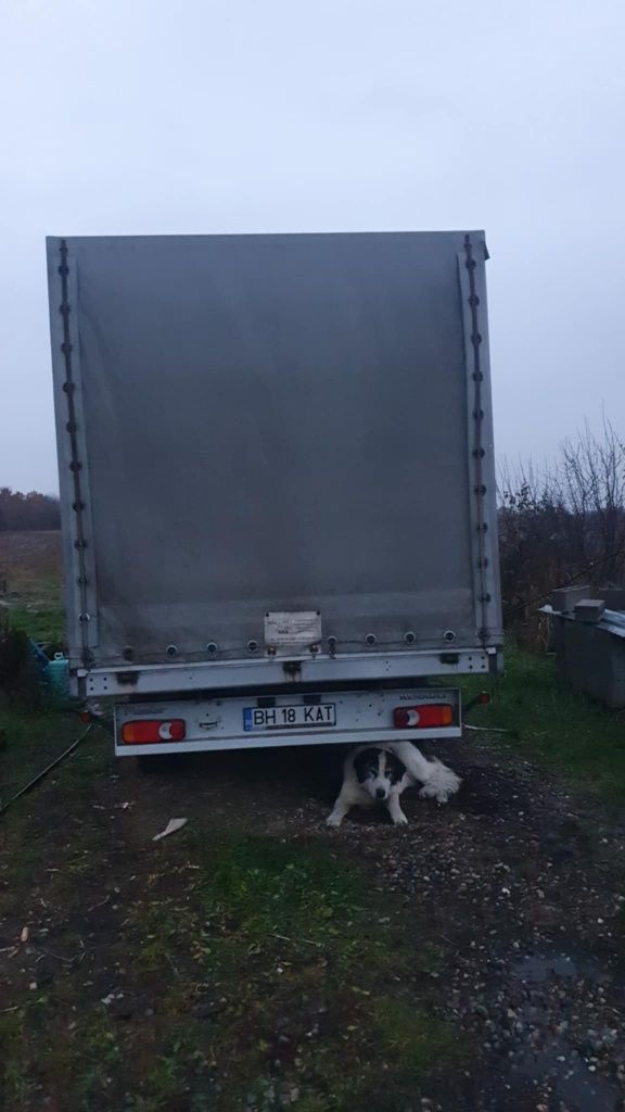 Renault master lll