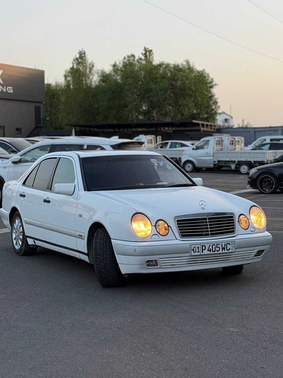 Mersedes Benz 210