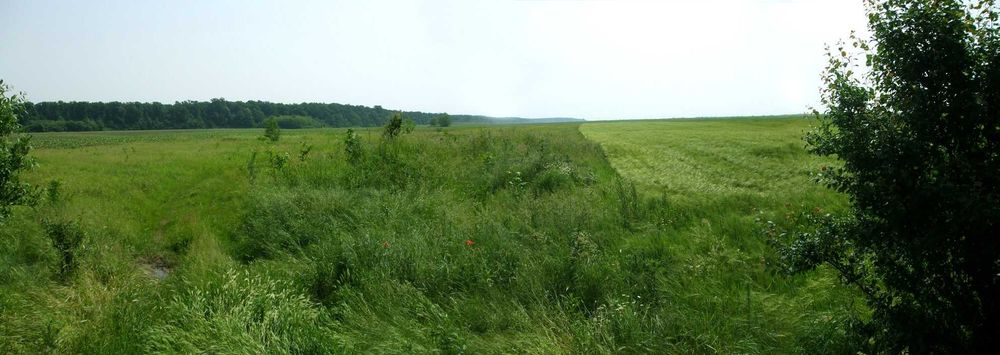 Teren agricol de vanzare in Padureni, Timis, Romania