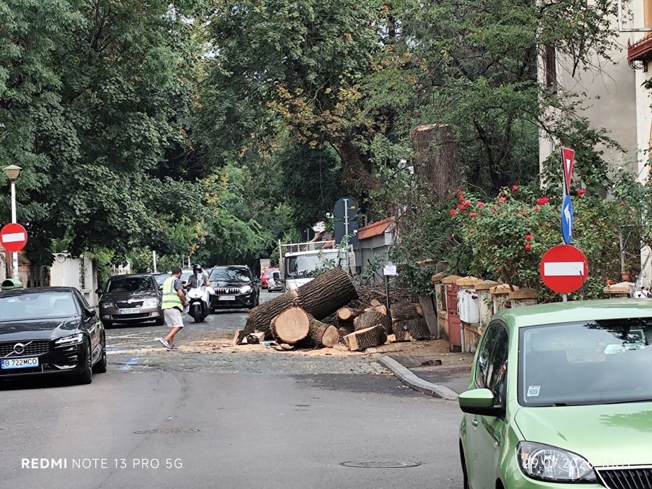 Servicii profesionale de curățenie generală apartament garsoniera