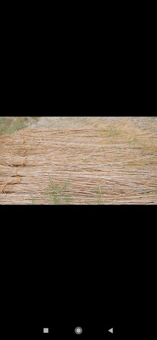 Qamish,Yekan,Qildir сотилади доставка текин