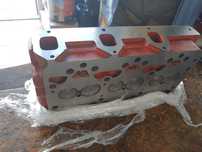 Chiloasa 445