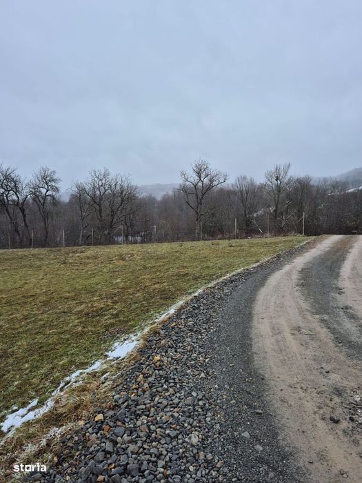 Coas, 15-30 ari teren