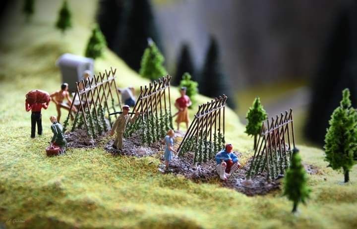 Diorama ho trenulet electric