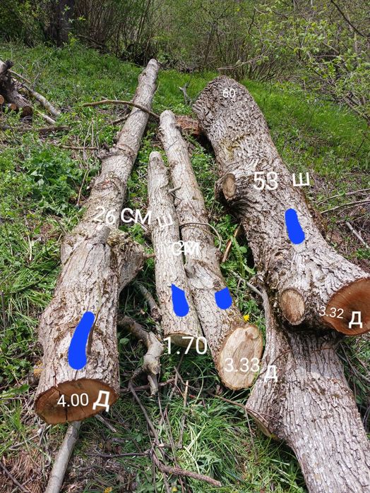 Сух Орехов материал