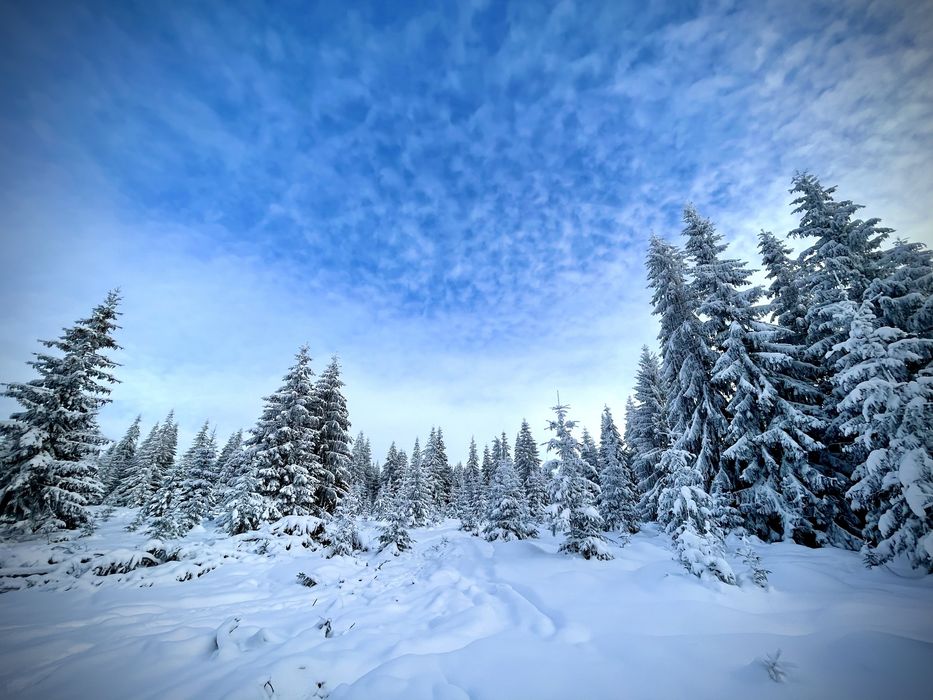 Teren INTRAVILAN de VANZARE (1500mp) - Partia de Ski Marisel