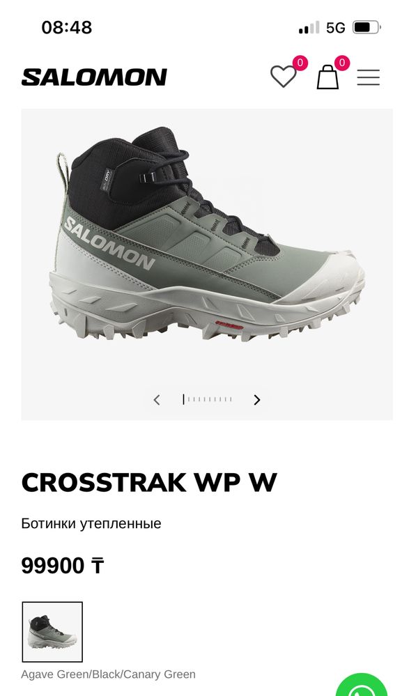 Теплые ботинки Salomon