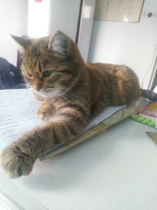 В самые ответственные руки