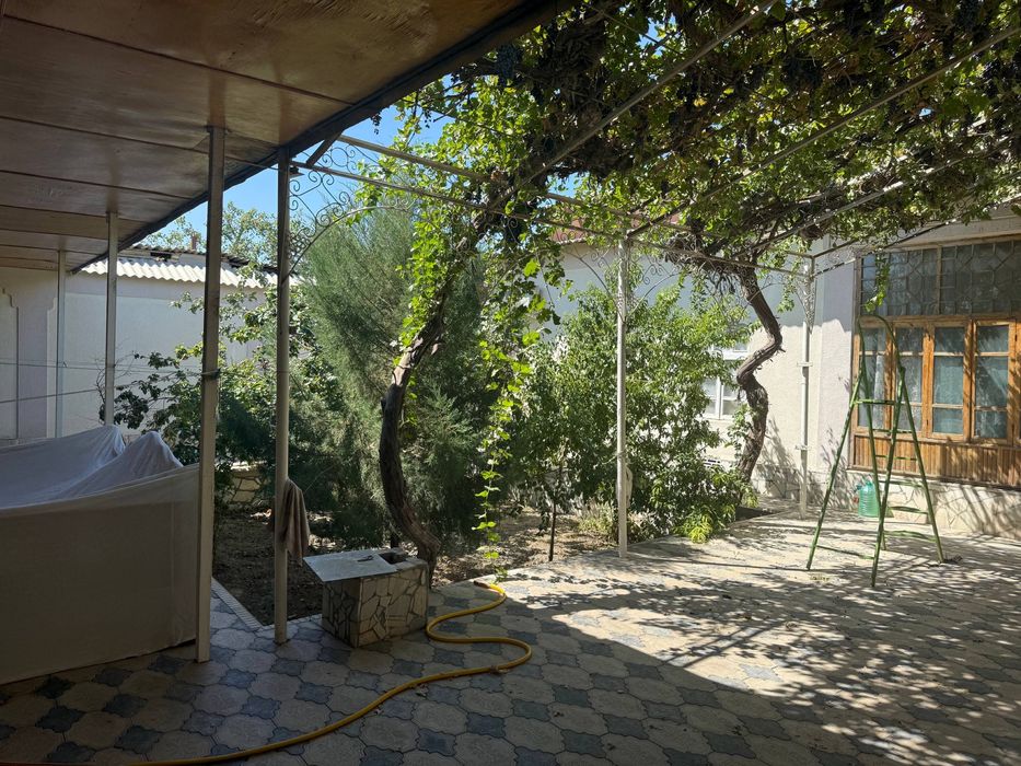 Perinatal ro’parasi 555 pavarotidan 300 metr ichkarida Uchastka