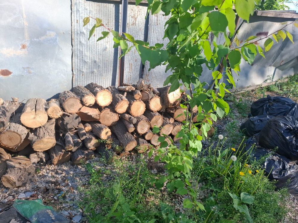 Продам дрова.