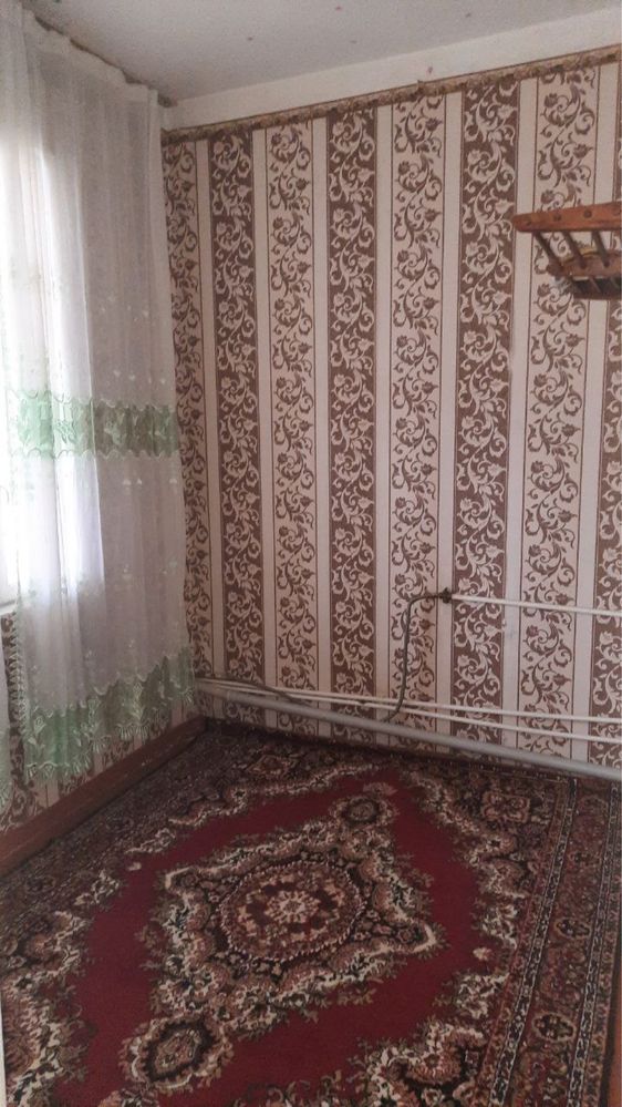 Аренда 2/3/4 Коракамиш 2/5