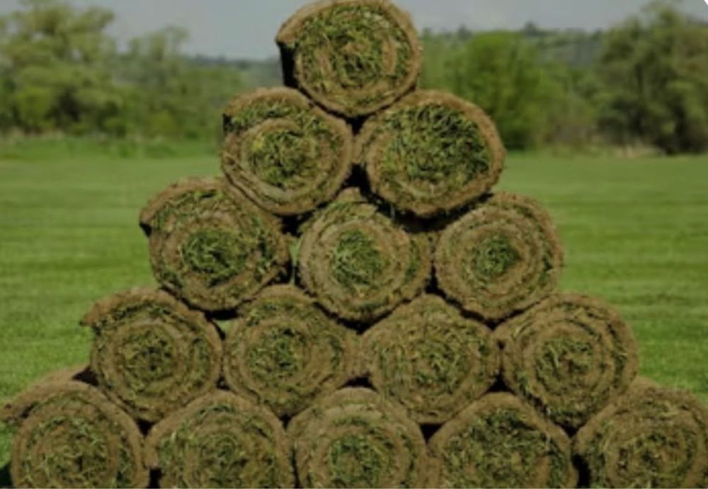 Gazon rulouri - Verde instant pentru grădina ta!