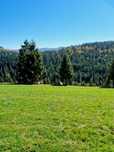 Vand teren Arieseni