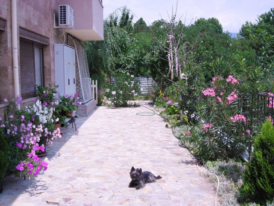 Студио в Сандански за нощувки