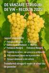Struguri pentru vin - soiuri la alegere, livrez gratuit in toată țara