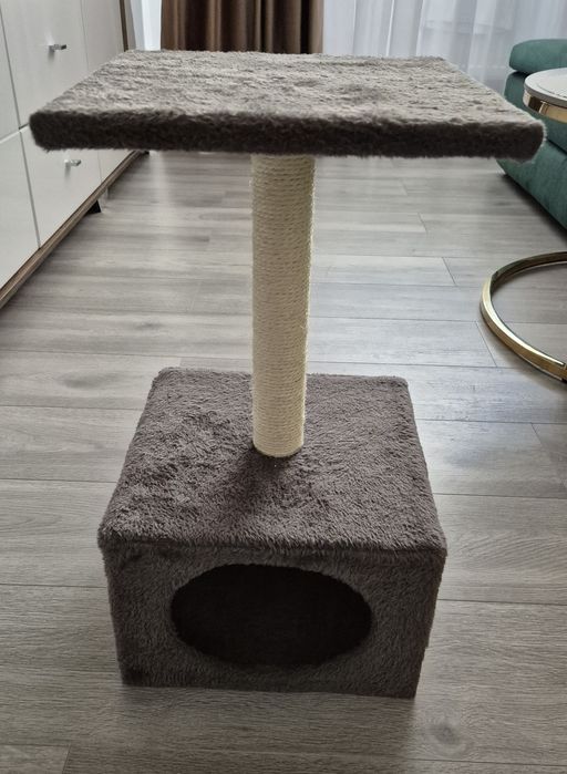 Ansamblu joaca pisici,