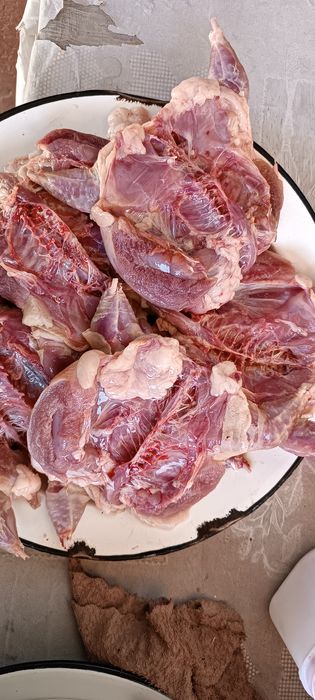 Продаётся домашнее мясо перепёлки .