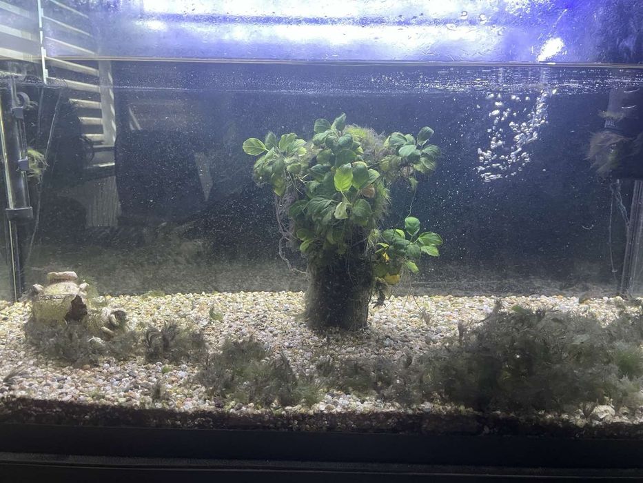 Аквариум Aquael 105l