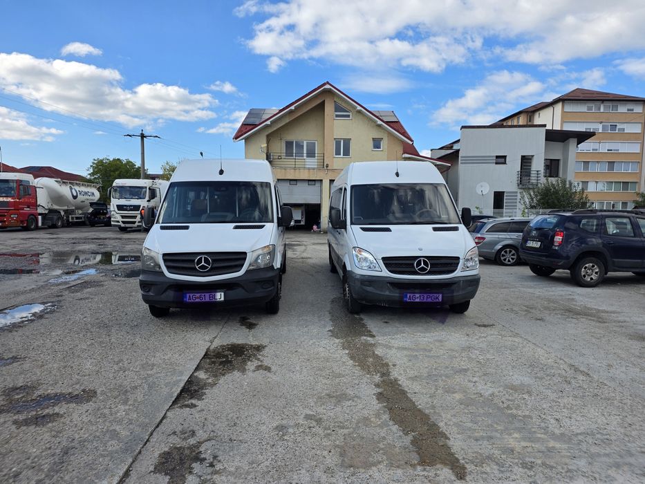 Sprinter 19+1 locuri